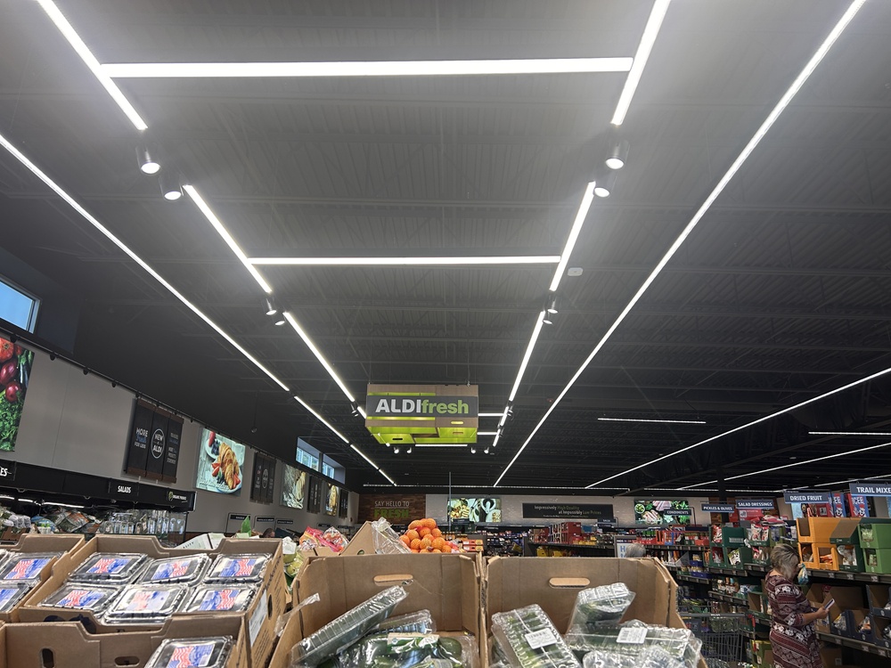 why investors choose aldi nnn properties